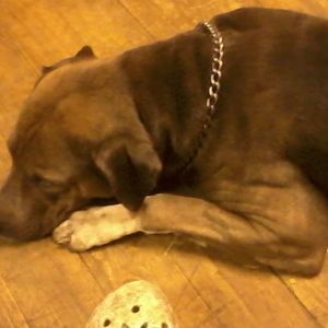 Meet your Posher, Bobbie jo